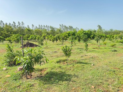 Biodiversity Image