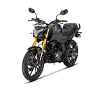 XTREME 160R 4V